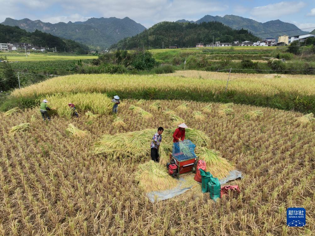 黄金城会员登录注册